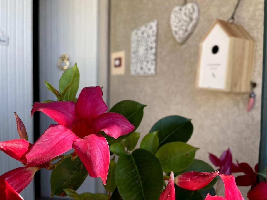Annali Casa Vacanze - Shabby Style Nella Natura ลาสเปเซีย ภายนอก รูปภาพ